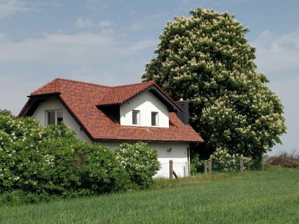 Usucapión de Terreno Rústico: Qué es y cómo adquirir la propiedad por el uso