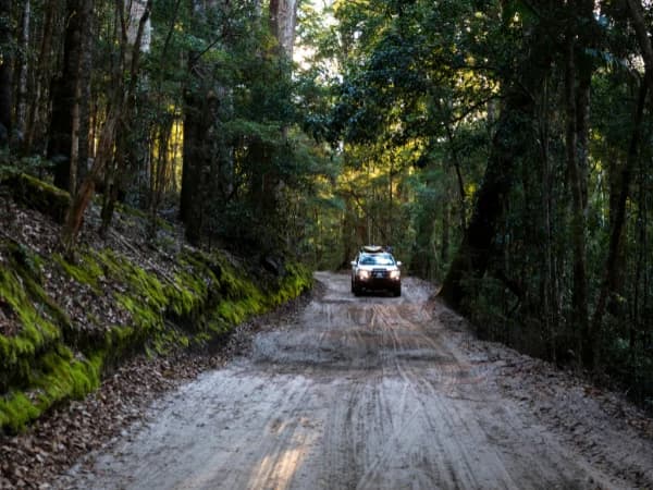 Tendencias 2026 en todoterrenos y 4X4: qué cambia de verdad en el mercado