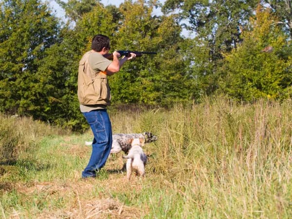 ¿Es obligatorio el seguro de responsabilidad civil de caza en España?