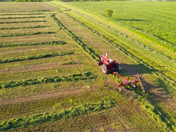 ¿Cuál es el Negocio Agrícola Más Rentable en España 2025? Análisis Estratégico para Inversores