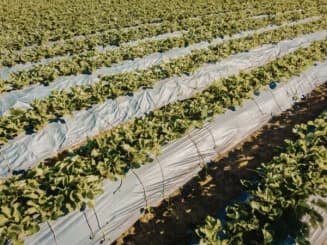 espacios test agrarios