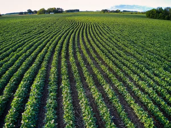 terreno arado que ha sufrido compraventa de fincas rústicas abril 2026