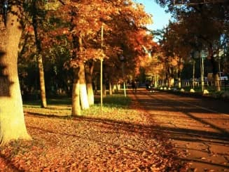 Paisaje otoñal que se espera con la Previsión del tiempo en otoño de 2026