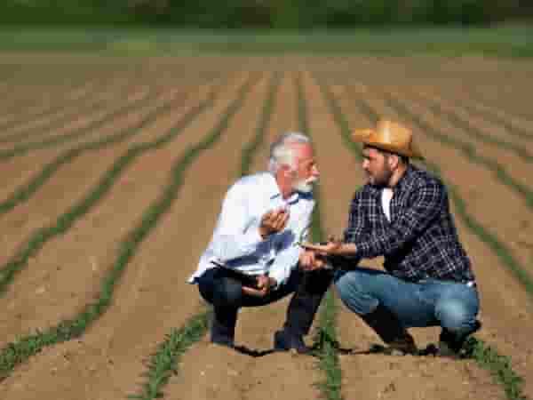 Un agrícola y un comercial buscando el mejor seguro agrícola para su finca
