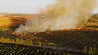 finca ardiendo para saber qué hacer si se quema mi finca