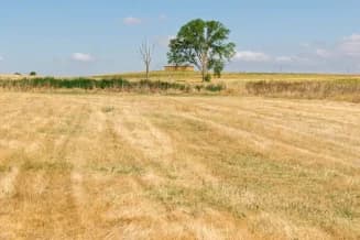 finca lista para realizar el desbroce de parcelas