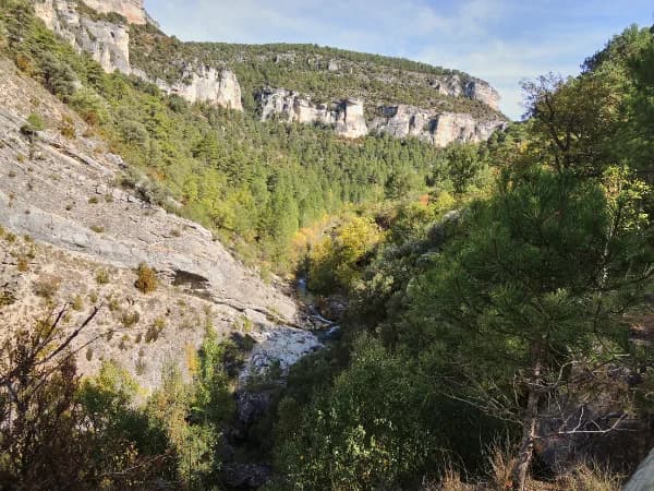 valle atravesado por un río en una de las fincas rústicas alto tajo