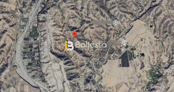 Finca agrícola de 3,8782 ha en venta en Albox, Almeria