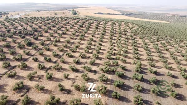 Finca agrícola de 3,47 ha en venta en Montoro, Cordoba