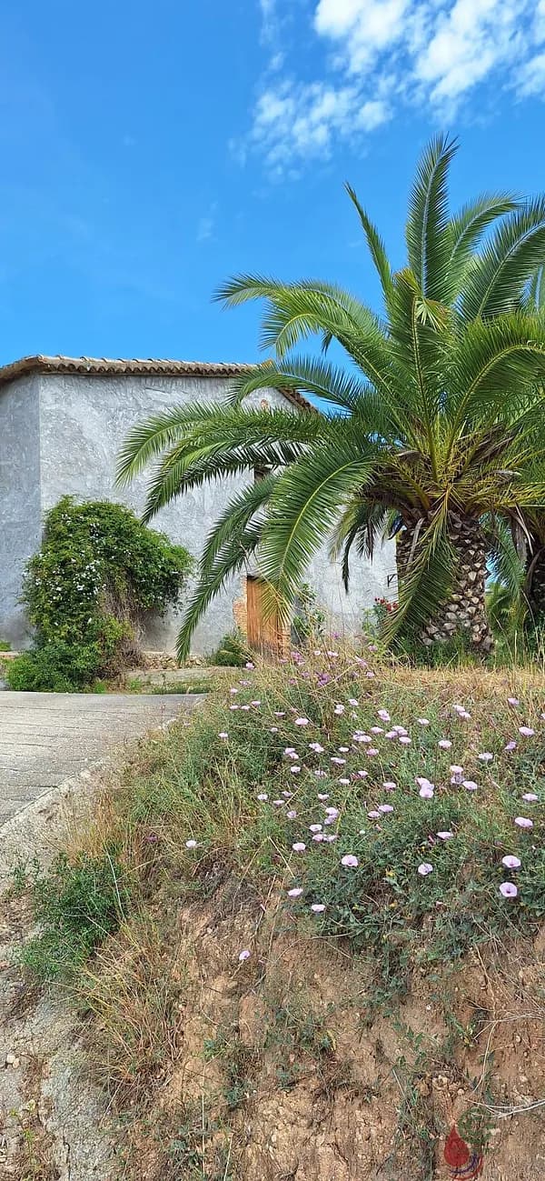 Spot image