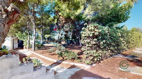 Finca rústica de 0,2421 ha en venta en San vicente del raspeig, Alicante