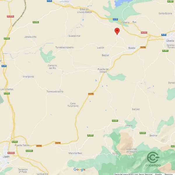 Spot image