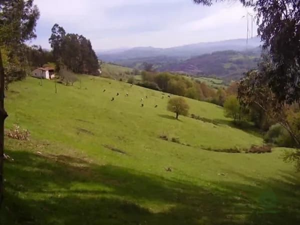 Finca agrícola de 9 ha en venta en Grado, Asturias