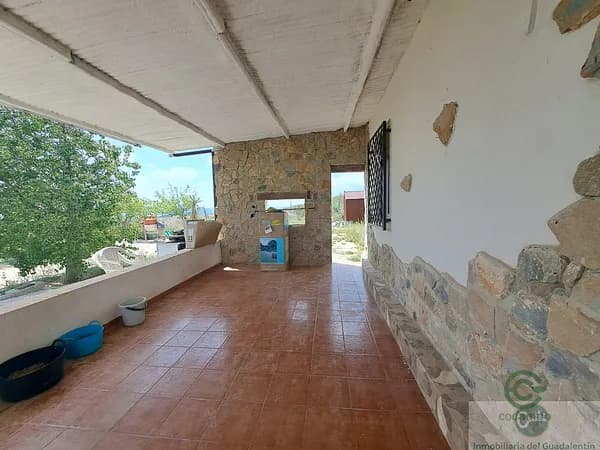 Spot image