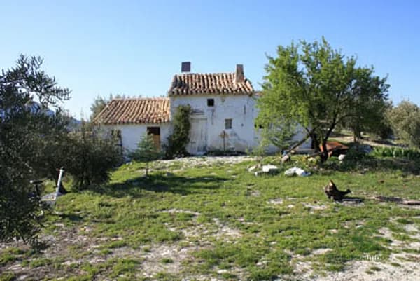Finca rústica de 20 ha en venta en Jaén