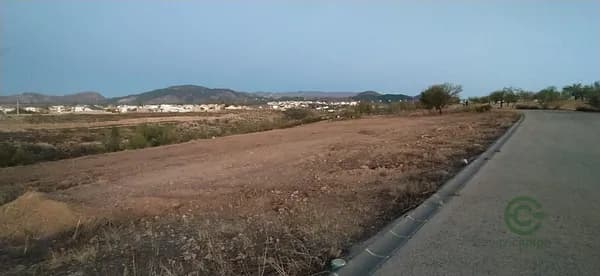 Spot image