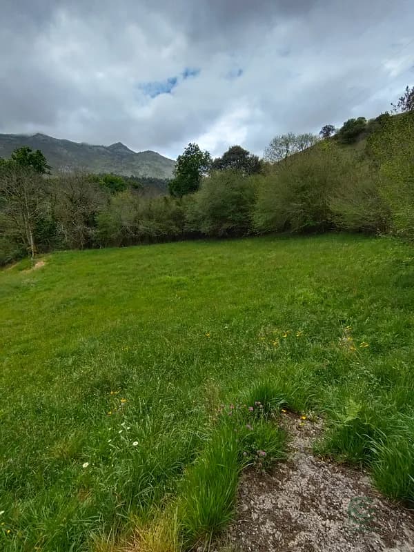 Finca rústica de 2800 ha en venta en Cantabria