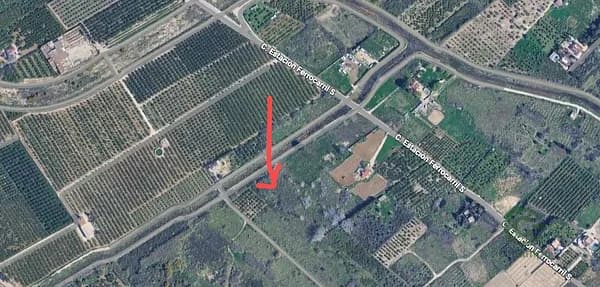 Spot image