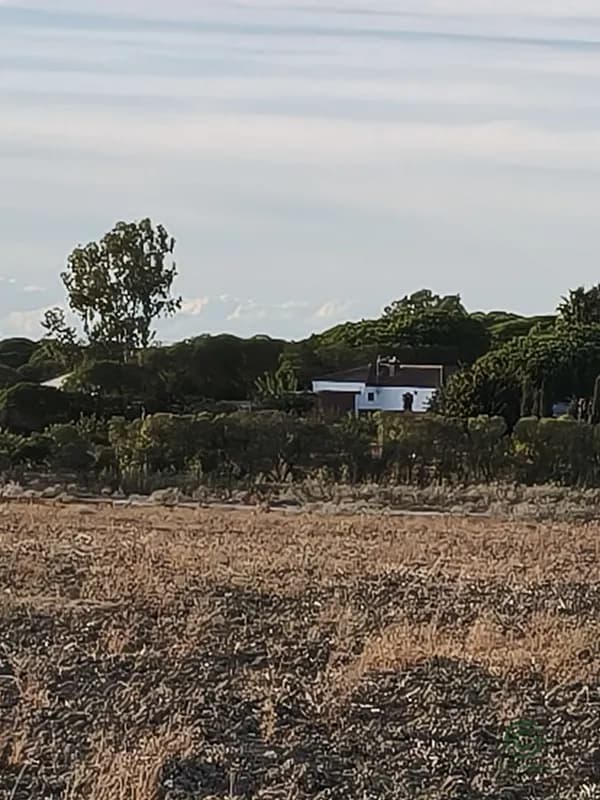Finca rústica de 0,6 ha en venta en Chipiona, Cadiz