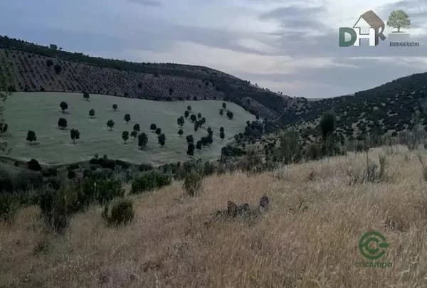 Finca rústica de 500 ha en venta en Ciudad real