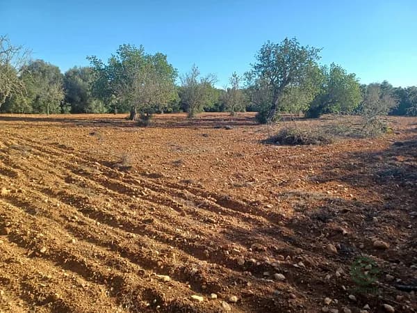 Finca rústica de 0,4 ha en venta en Baleares