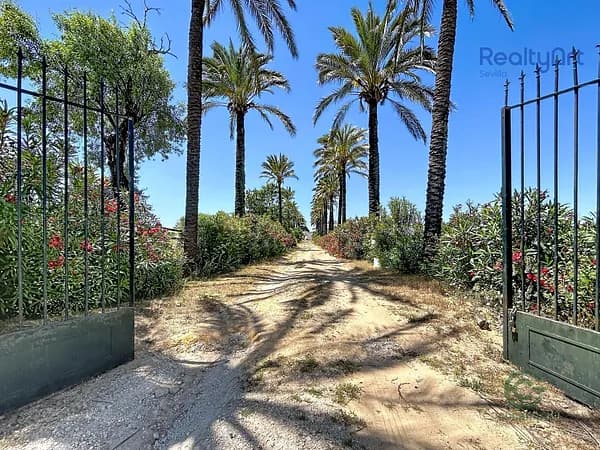 Finca rústica de 18 ha en venta en Bollullos de la mitacion, Sevilla