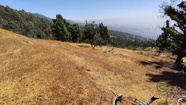 Finca rústica de 0,65 ha en venta en Santa cruz de tenerife