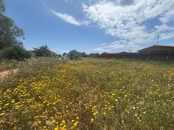 Terreno urbano de 0,08 ha en venta en El palmar, Cadiz