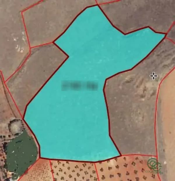 Finca agrícola de 2,4099 ha en venta en Valdepenas, Ciudad real