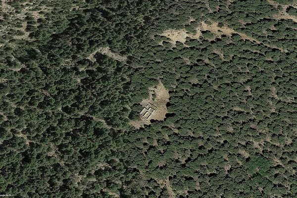Spot image