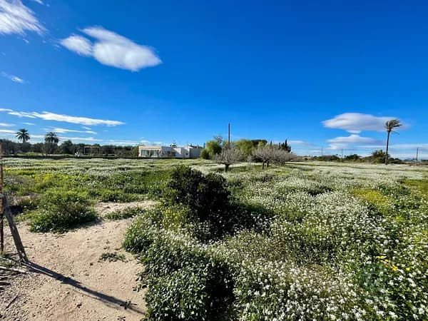 Finca rústica de 4,3 ha en venta en La hoya, Alicante