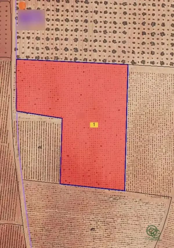 Finca agrícola de 1,8 ha en venta en Valdepenas, Ciudad real