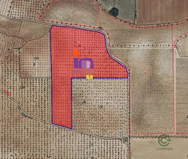 Finca agrícola de 3,6 ha en venta en Valdepenas, Ciudad real