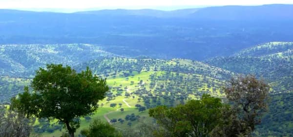 Finca rústica de 600 ha en venta en Jaén