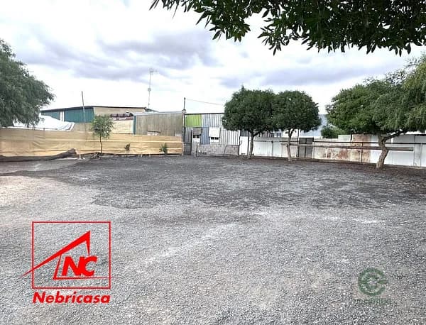 Finca rústica de 0,24 ha en venta en Lebrija, Sevilla