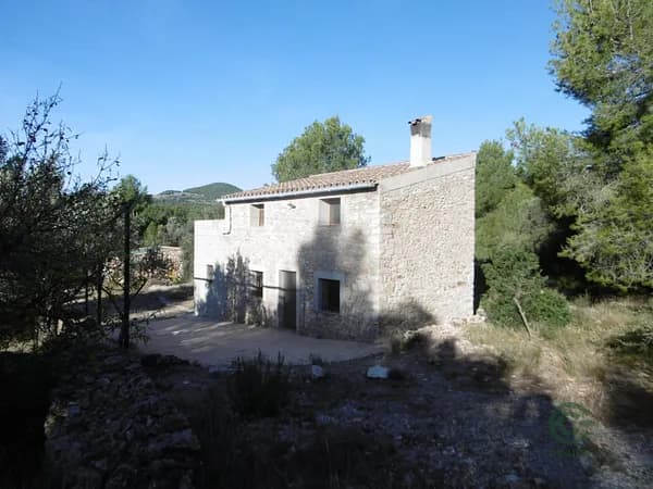 Spot image