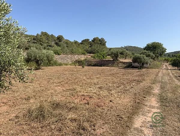 Finca rústica de 1,2 ha en venta en Pobla de montornes (la), Tarragona
