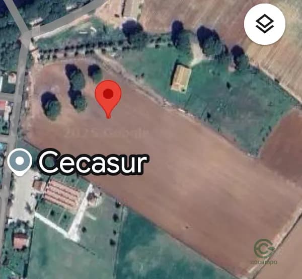 Spot image