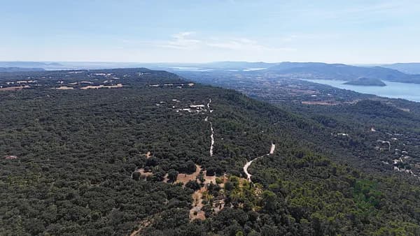 Finca rústica de 5,4 ha en venta en Guadalajara