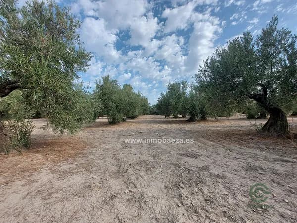 Finca agrícola de 0,27 ha en venta en Rus, Jaen