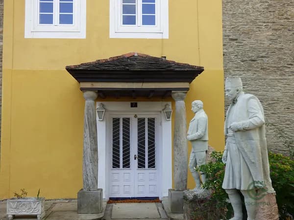 Spot image