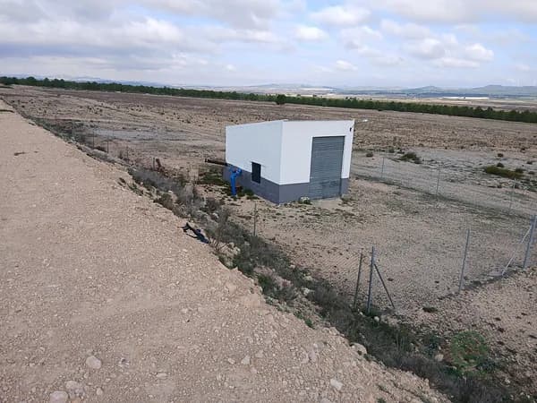 Spot image