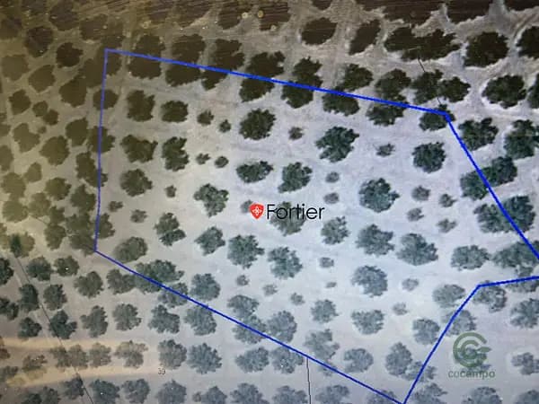 Spot image