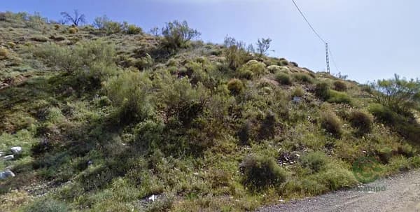 Finca forestal de 2,1387 ha per a venda a Màlaga