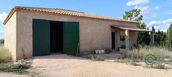 Spot image