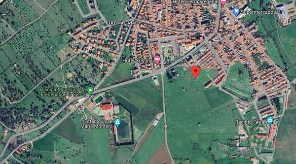 Spot image
