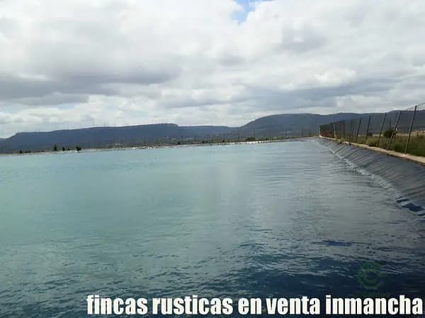 Finca agrícola de 155 ha en venta en Albacete