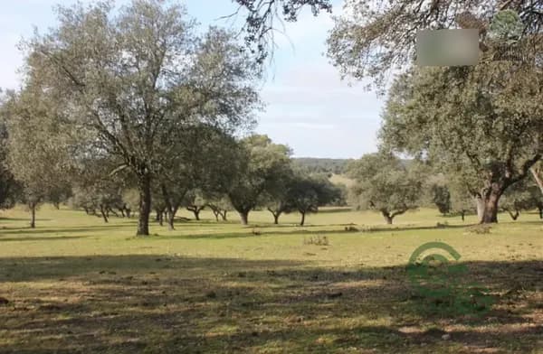 Finca rústica de 280 ha en venta en Toledo