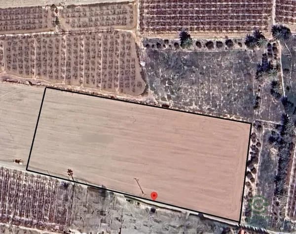 Finca rústica de 1,15 ha en venta en Valverde (alicante), Alicante