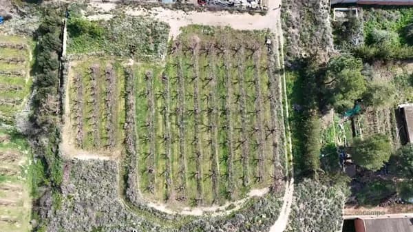 Finca rústica de 0,2 ha en venta en Lérida